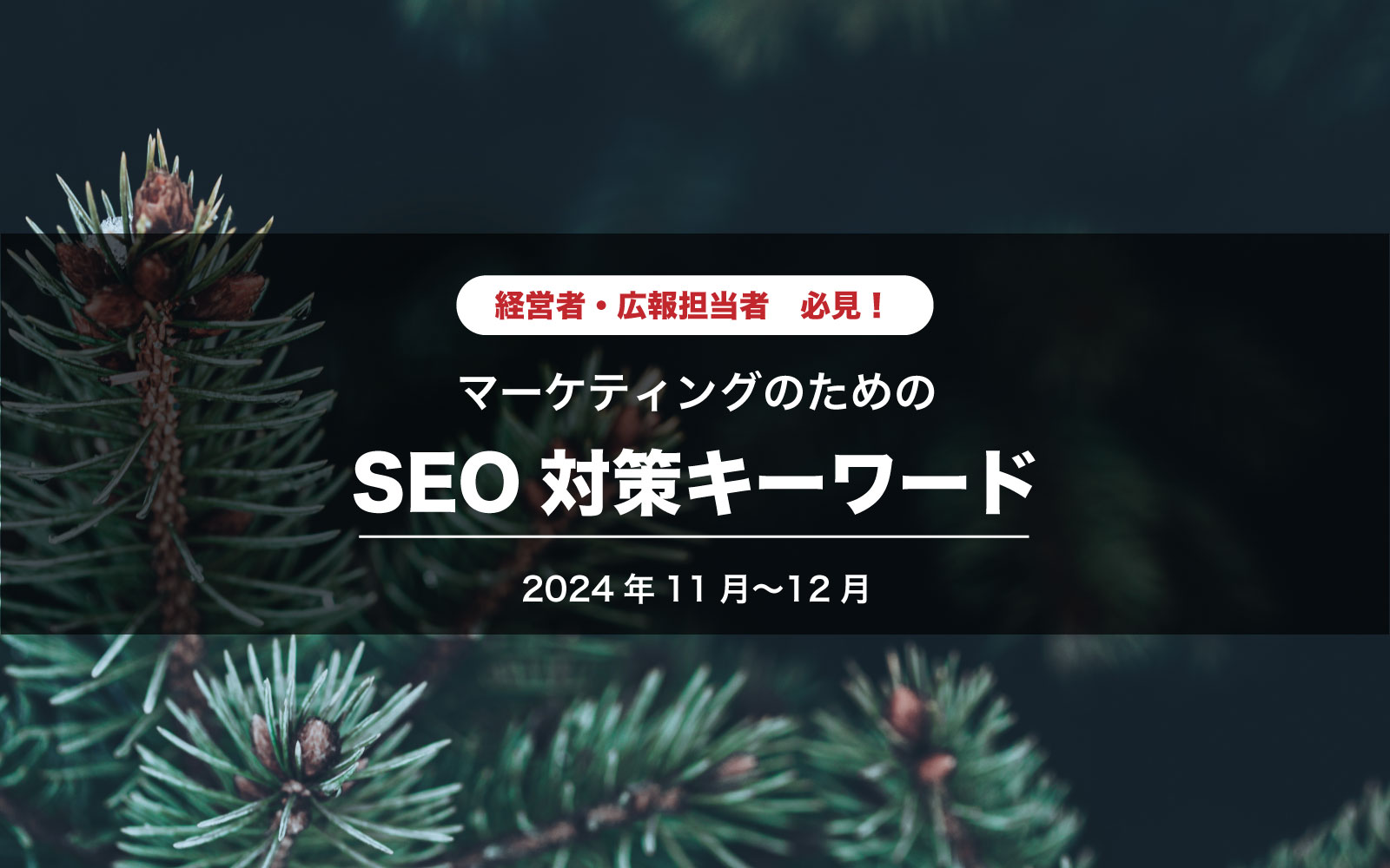 【経営者必見！】マーケティングのためのSEO施策キーワード2024年11月〜12月