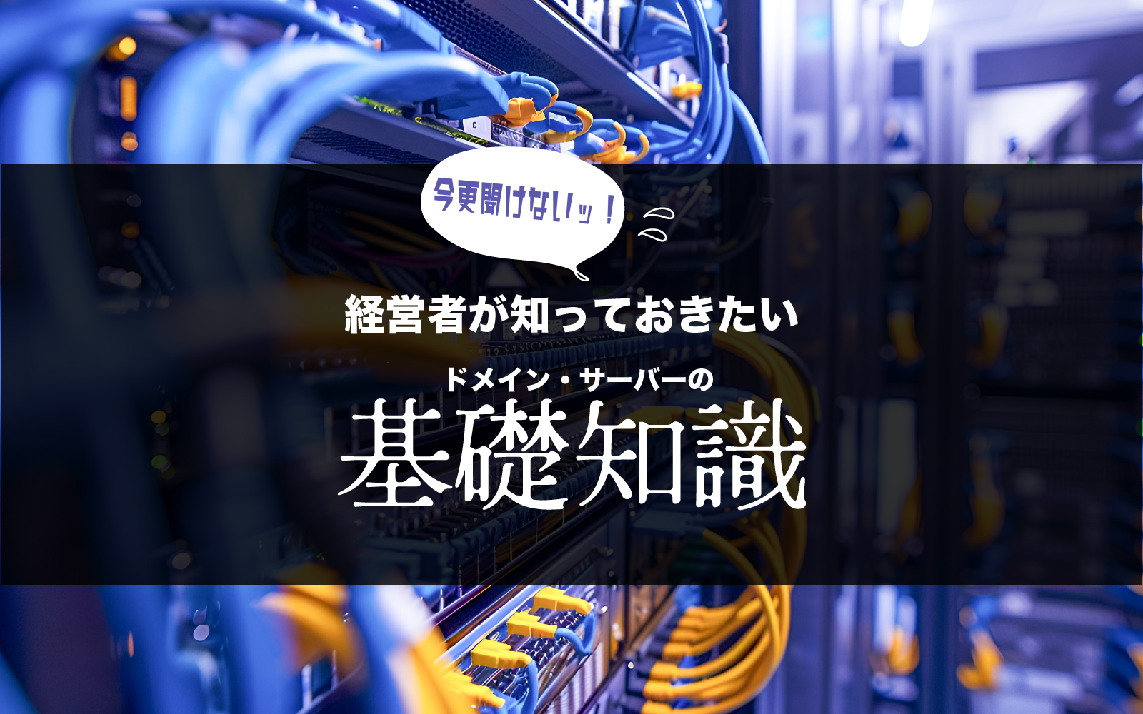 今更聞けないッ！経営者が知っておきたいドメイン・サーバーの基礎知識